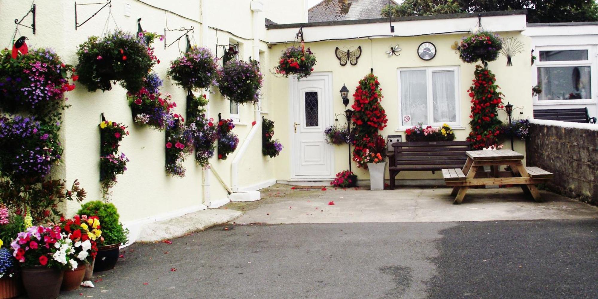 Bed and Breakfast Jasmine House à New Quay Extérieur photo